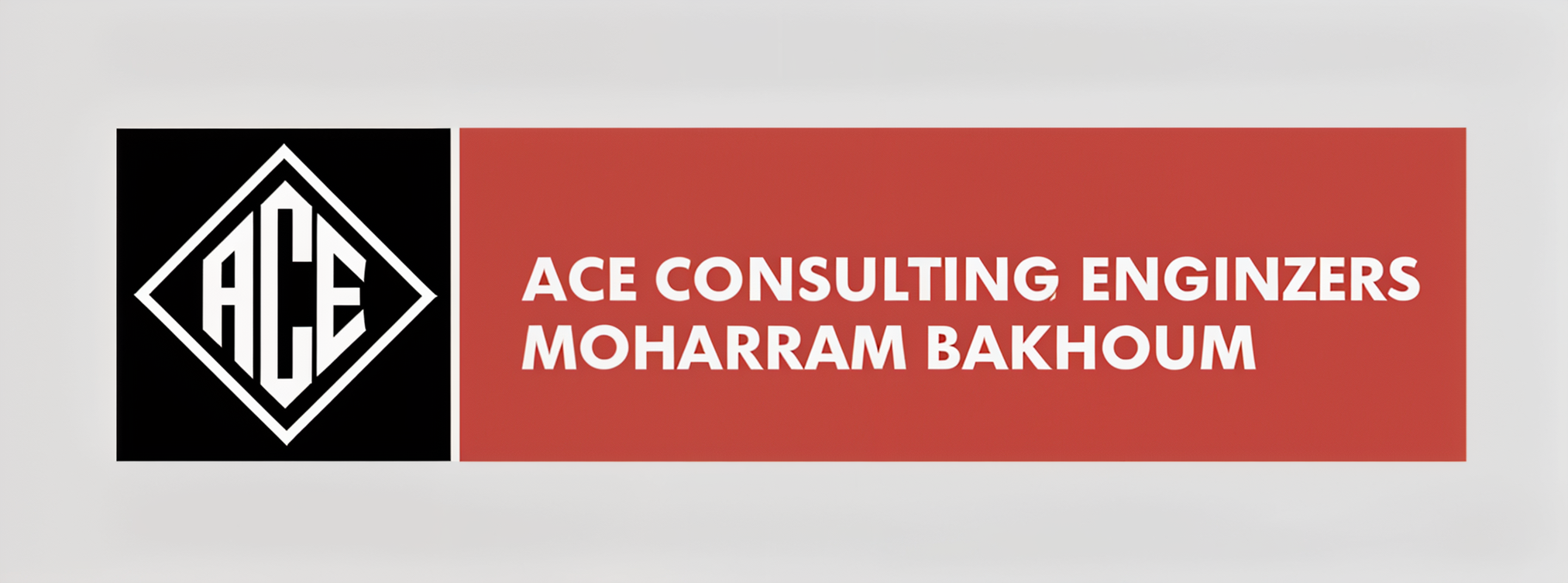 Ace Consulting